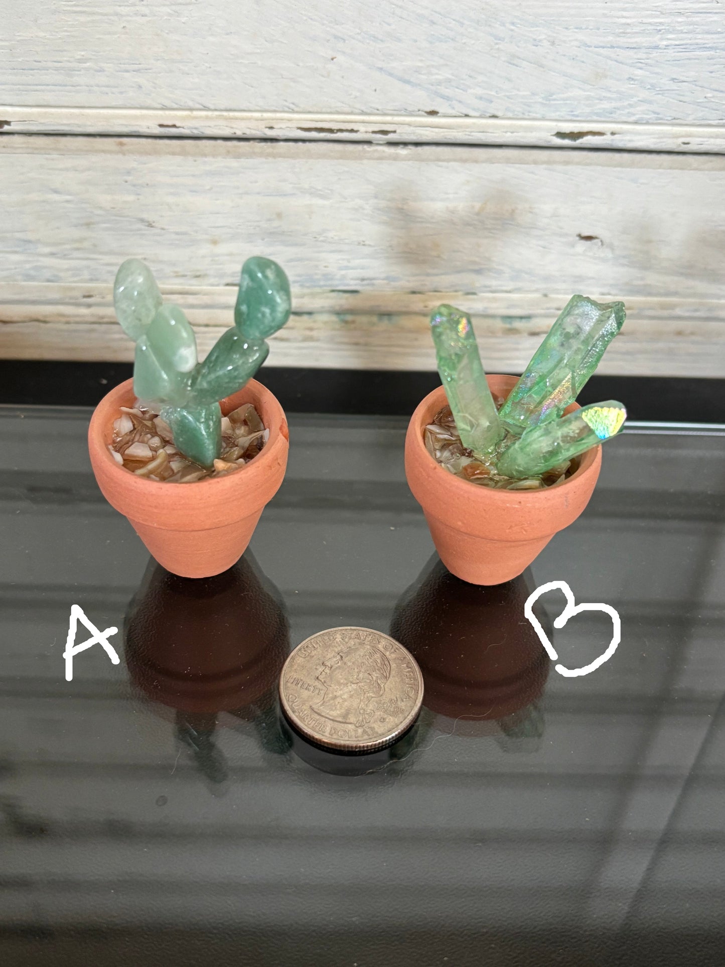 Extra Small Crystal Cactus