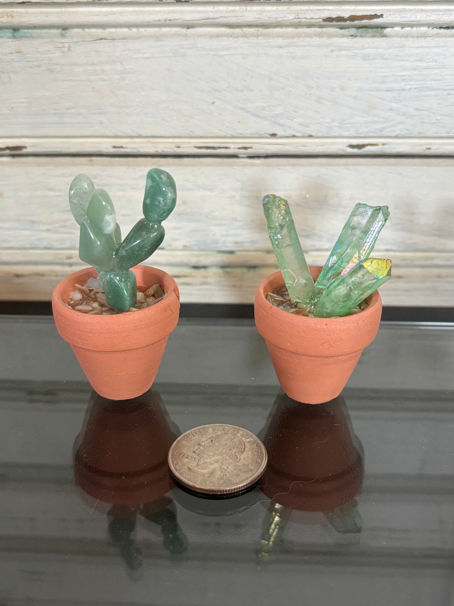 Extra Small Crystal Cactus