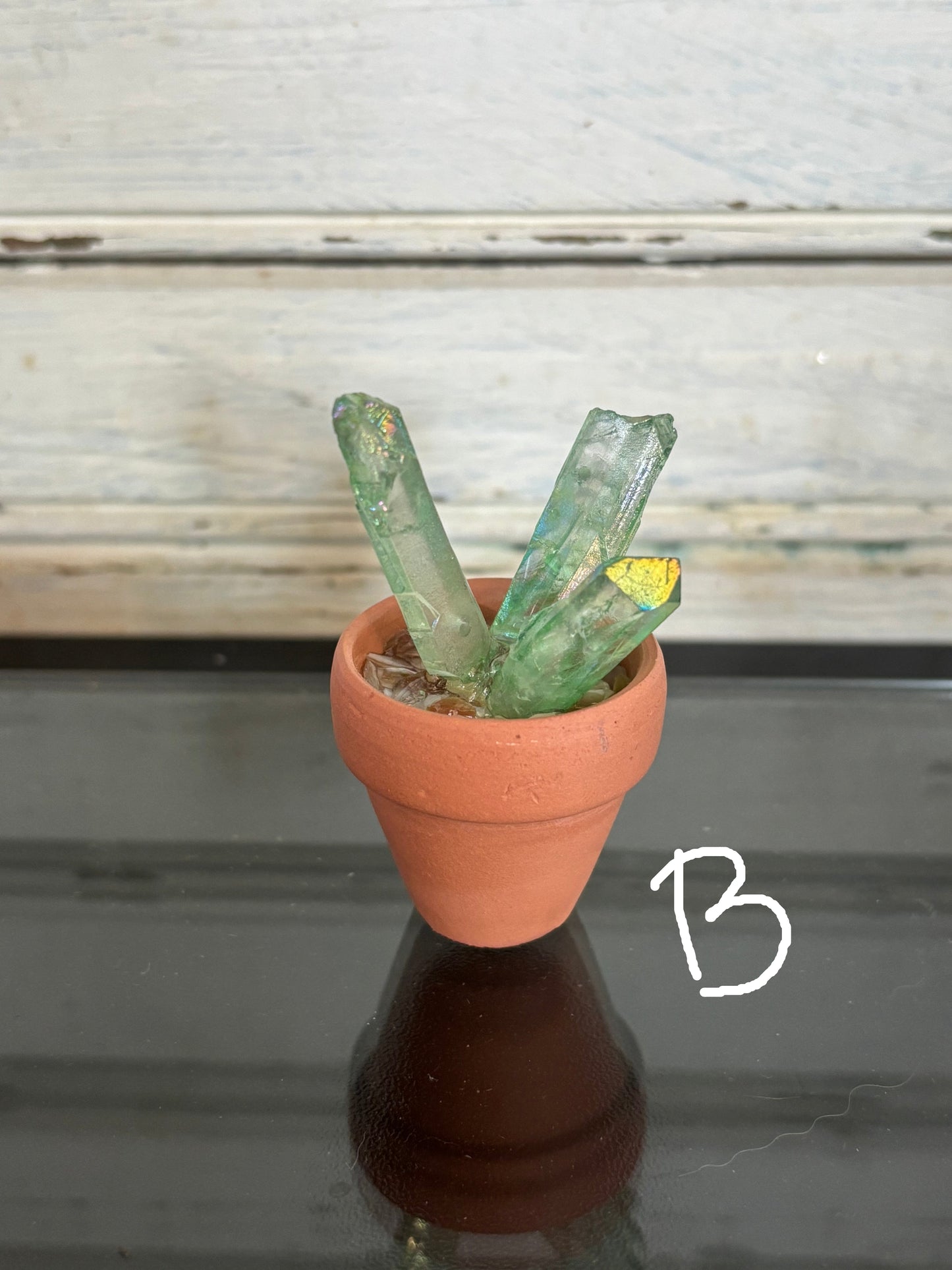 Extra Small Crystal Cactus
