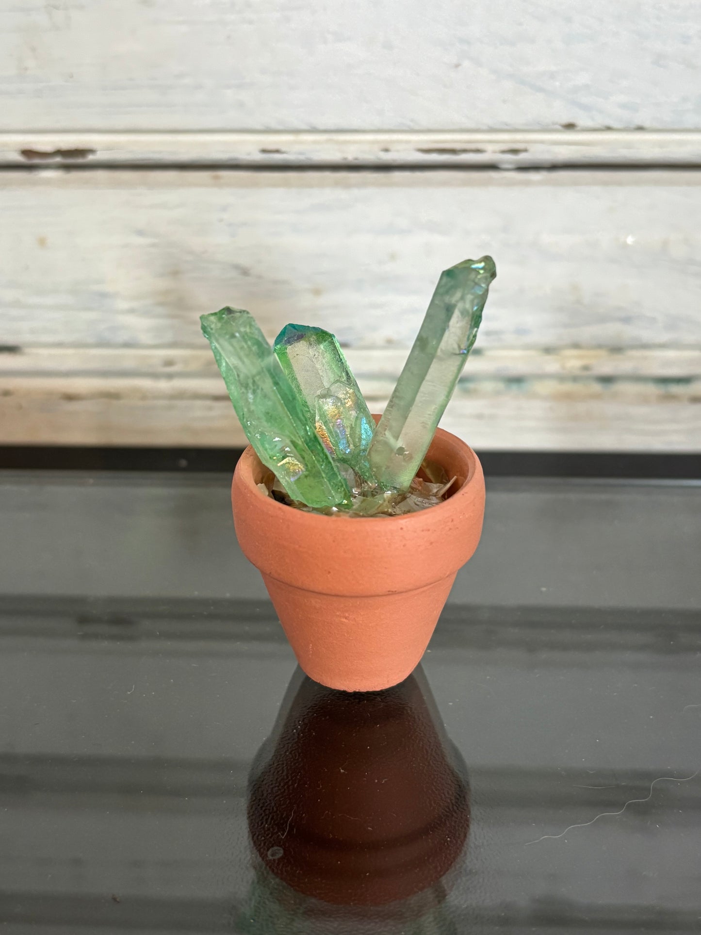 Extra Small Crystal Cactus