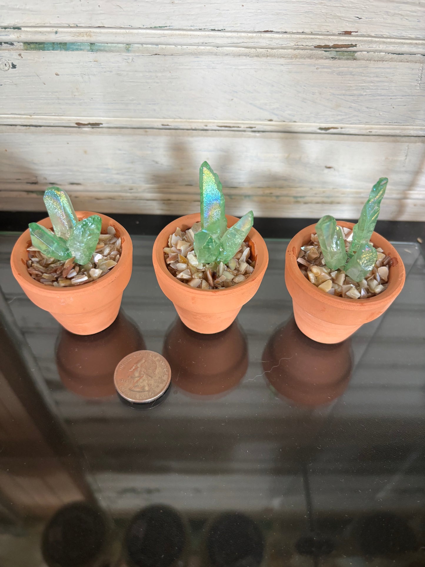 Small Crystal Cactus