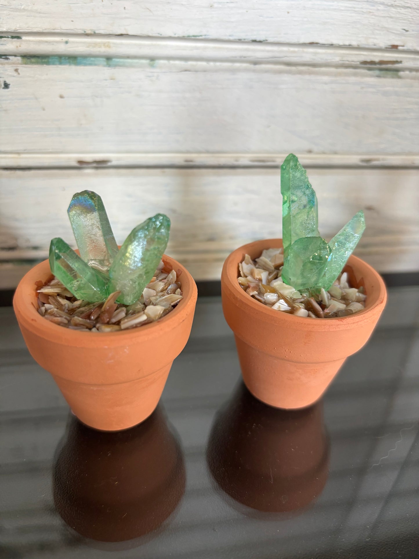 Small Crystal Cactus