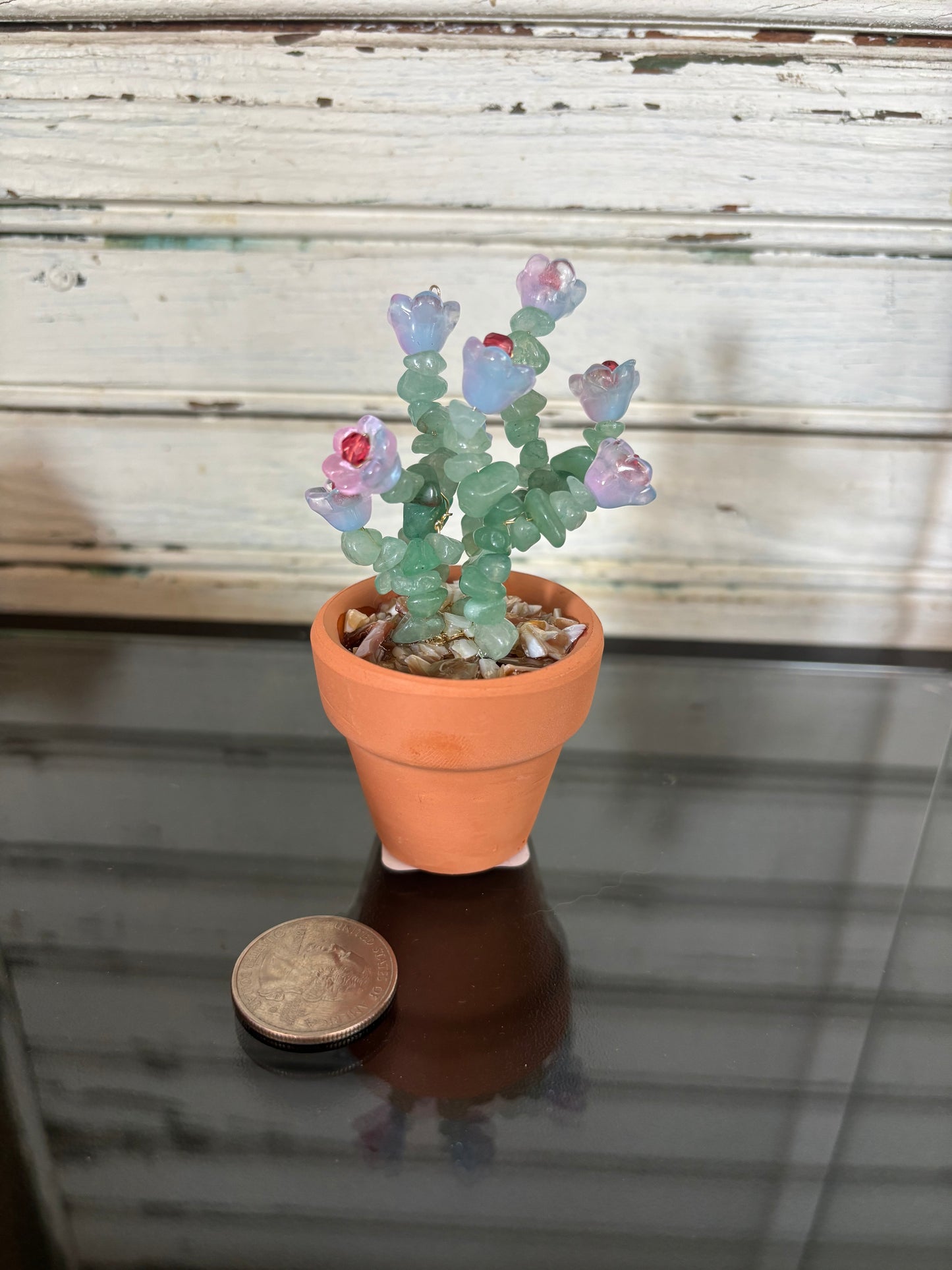 Green Aventurine Flowering Plant