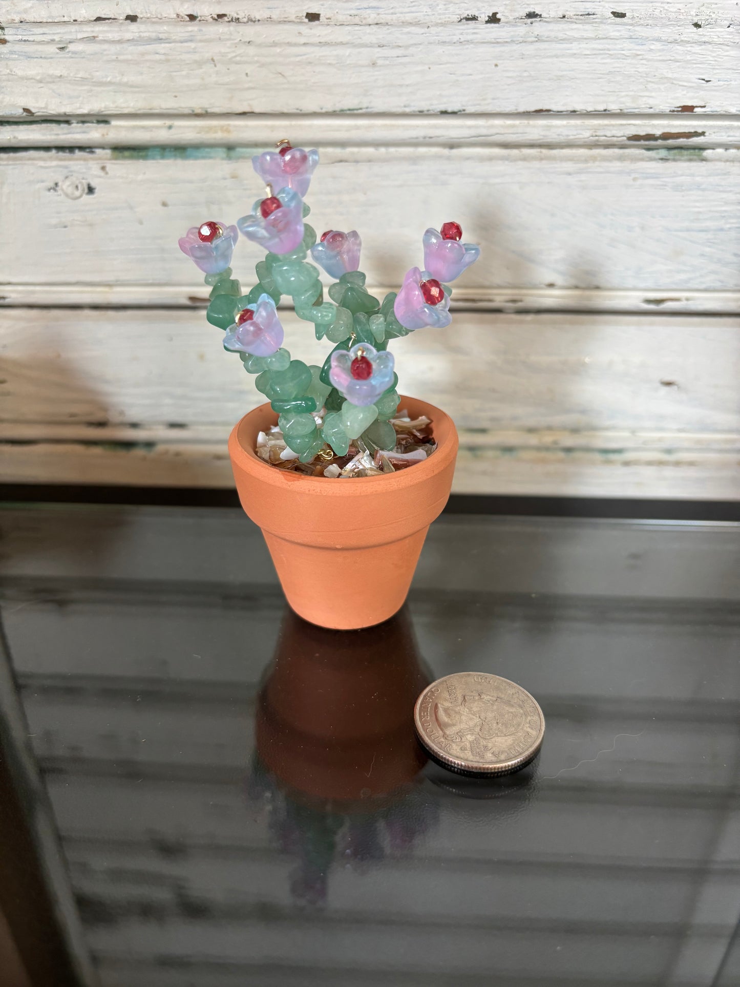 Green Aventurine Flowering Plant