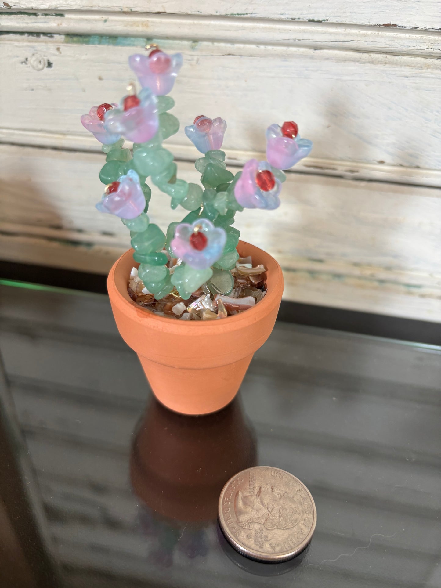 Green Aventurine Flowering Plant