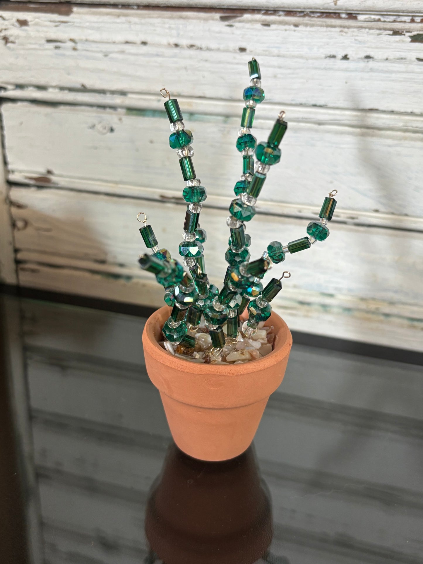 Dark Green Snake Plant Inspired Plant