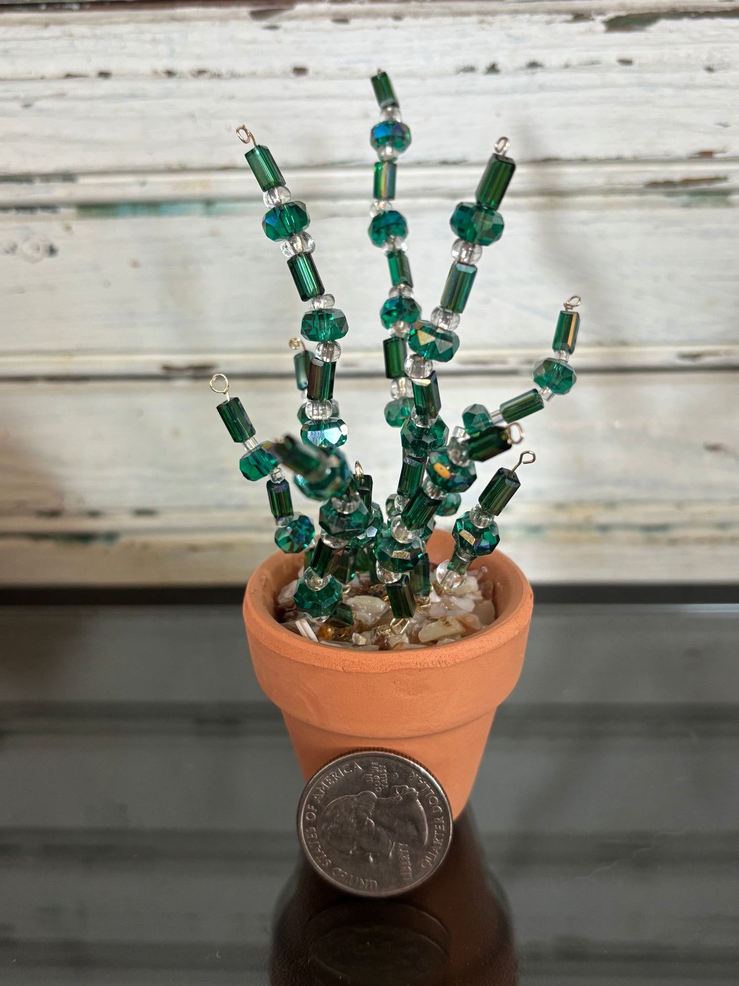 Dark Green Snake Plant Inspired Plant