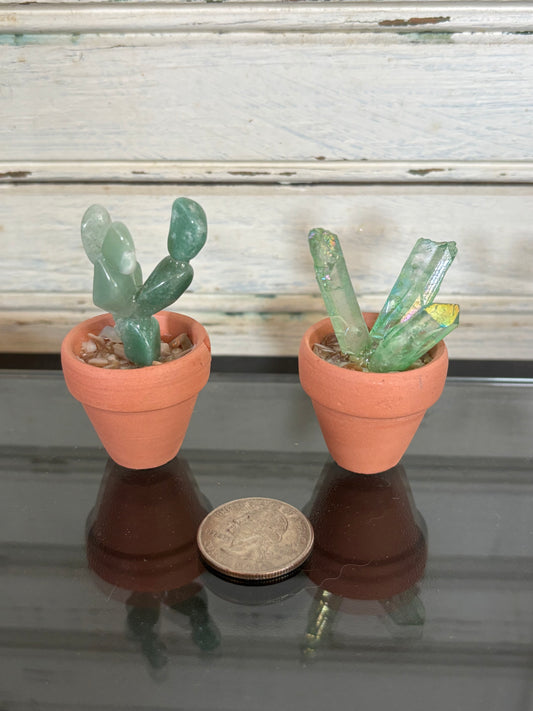 Extra Small Crystal Cactus