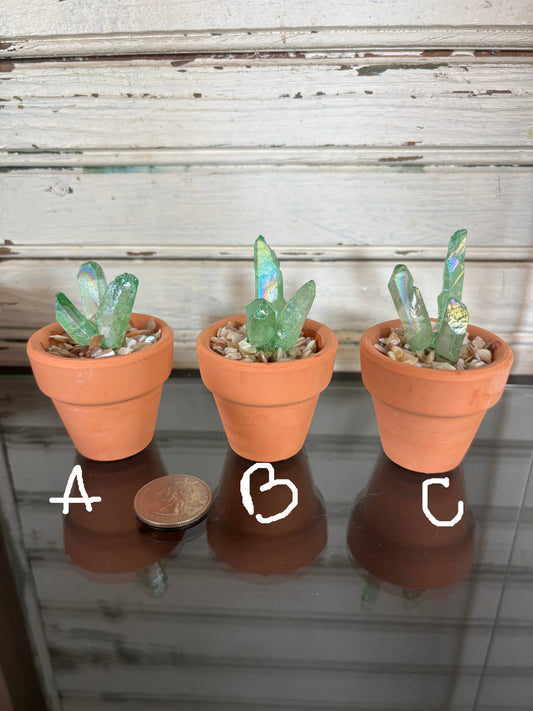 Small Crystal Cactus