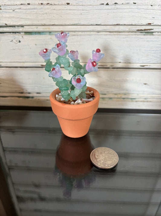 Green Aventurine Flowering Plant